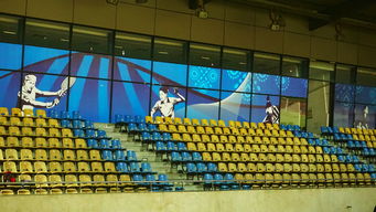 爱游戏app下载-澳大利亚队未来如何利用青训体系打造新一代乒乓巨星，澳大利亚乒乓球